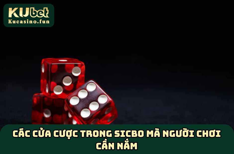 Danh mục các cửa cược Sicbo
